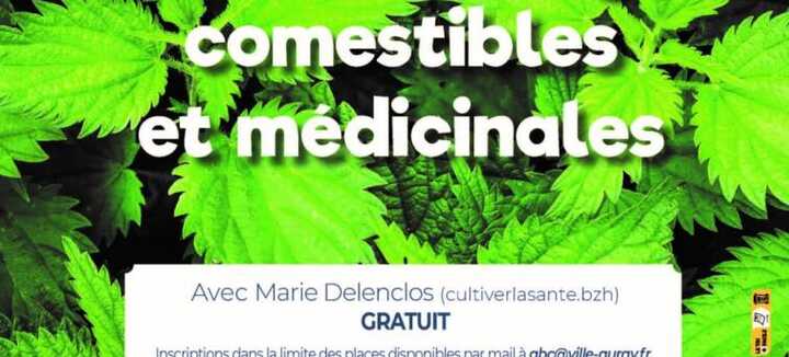 Sortie plantes sauvages, comestibles et médicinales