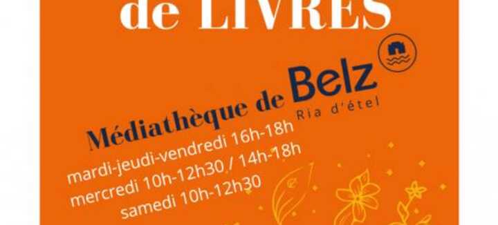 Braderie de livres