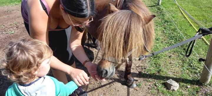 Balade à poney